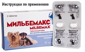 Таблетки от глистов Мильбемакс для собак. Инструкция, цена и отзывы