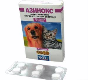 Азинокс для лечения человека: инструкция, применение, цена, аналоги