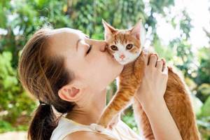 Опасные заболевания, передающиеся от кошек людям