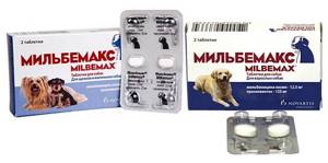 Таблетки от глистов Мильбемакс для собак. Инструкция, цена и отзывы