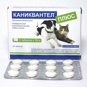 Цена и способ применения лекарства Каниквантел Плюс для кошек