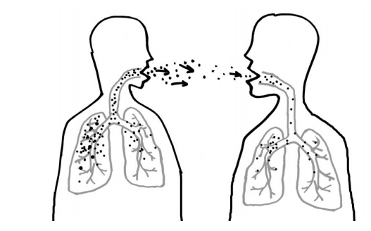 Что принимать при начальном туберкулёзе лёгких ? - советы врачей на каждый день