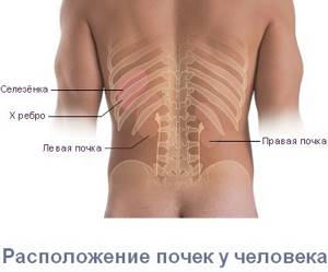 Боли в спине - советы врачей на каждый день