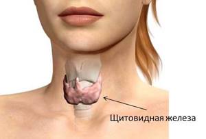 Образование щитовидной железы - советы врачей на каждый день