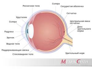 Производственная травма левого глаза ,ранение инфицированное - советы врачей на каждый день