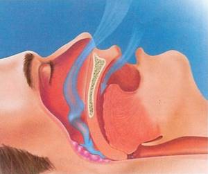 Проблемы с дыханием вт сне - советы врачей на каждый день